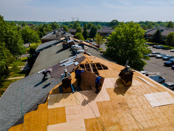 Trusted Roofing service in Waterloo, NE - Brentwood Metal Roofing